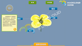 圖片15.png